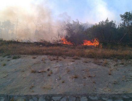Лесной пожар в окрестностях Севастополя